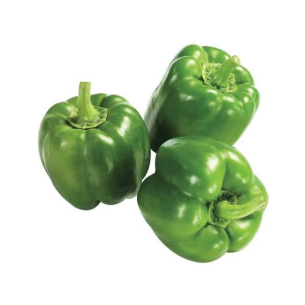Bell Pepper Green