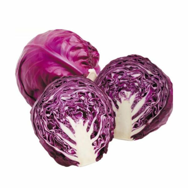 Cabbage Red GoodFinds Ph