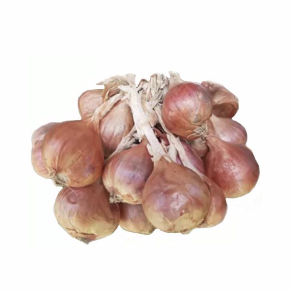 Onions Shallots GoodFinds Ph