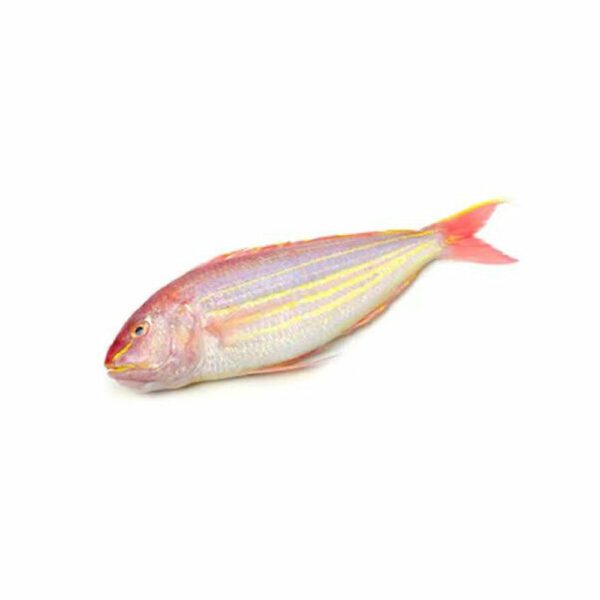 Seafood 0003 Bisugo1 Good Finds Ph