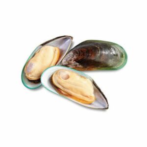 Tahong - Mussels - Seafood