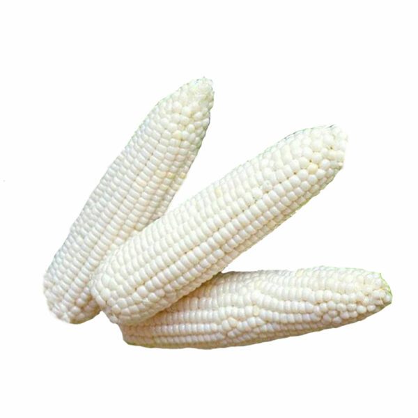 White Corn GoodFinds Ph