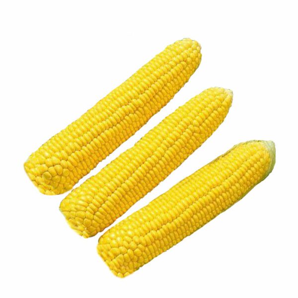 Yellow Corn GoodFinds Ph