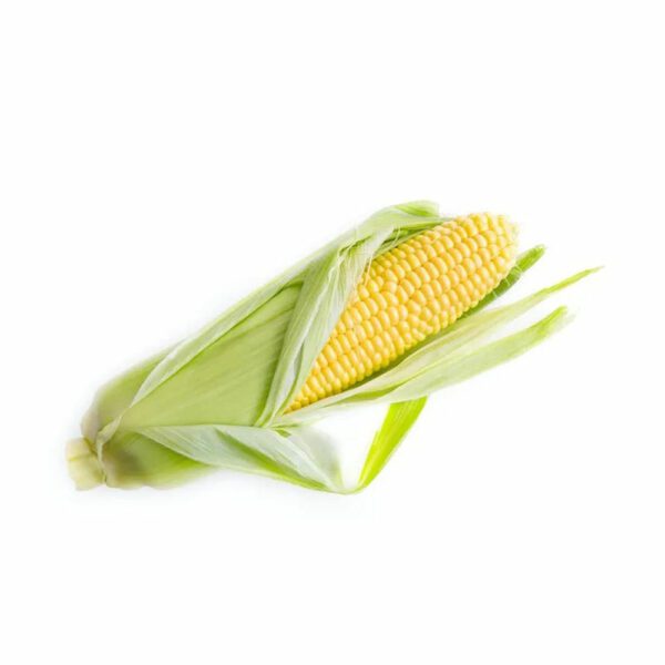 Yellow corn Husk GoodFinds Ph