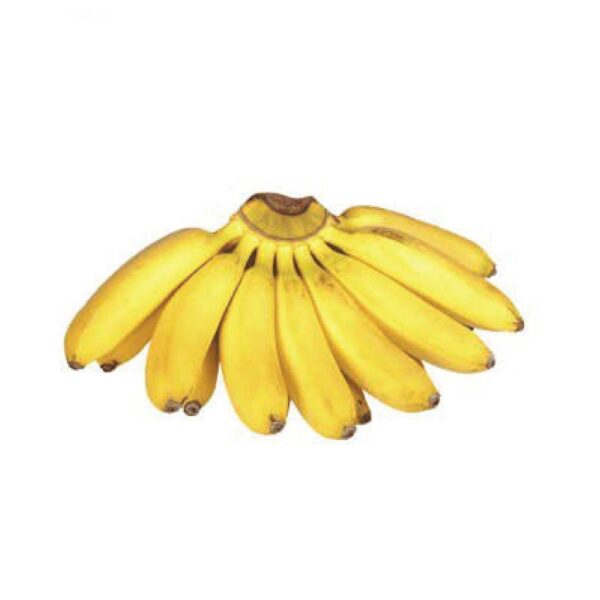 Banana Latundan