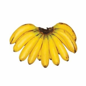 Banana Lakatan