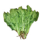 Chinese Spinach GoodFinds Ph